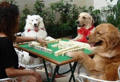 什么?代理友情漆就可做百萬(wàn)富翁 什么?代理友情漆就可做百萬(wàn)富翁