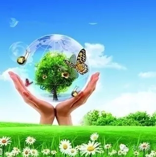 品牌創造價值 品牌創造價值